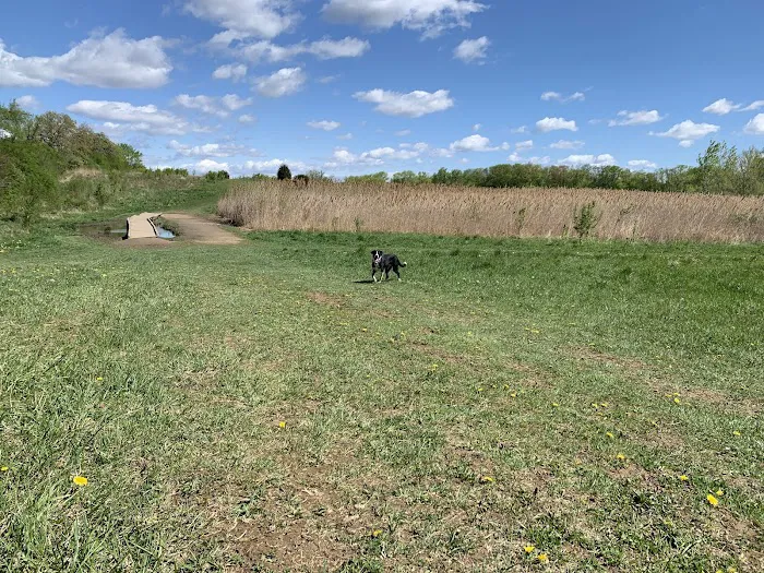 Duck Farm Off-Leash Dog Area 7