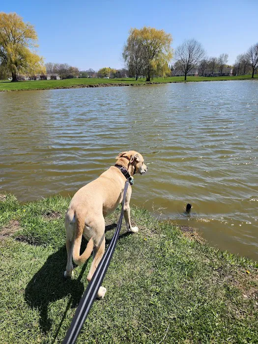 K9 Korner Dog Park 3