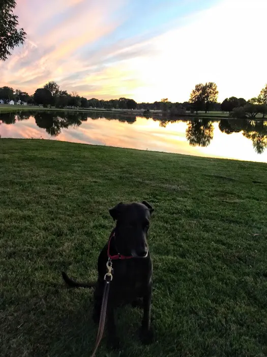 K9 Korner Dog Park 2