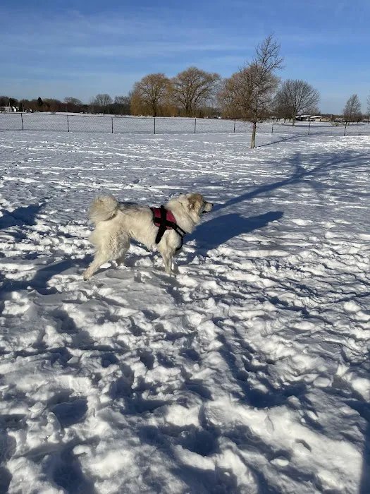 K9 Korner Dog Park 5
