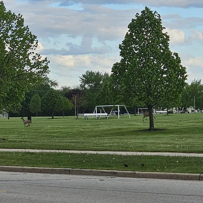 K9 Korner Dog Park 7