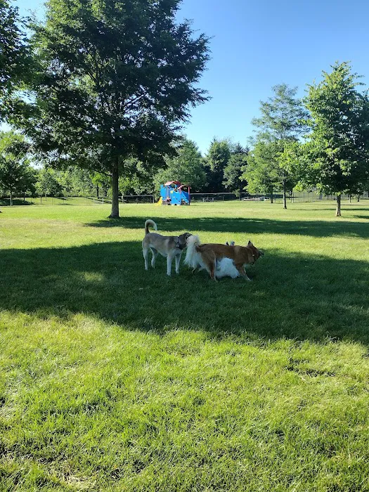 Freedom Run Dog Park 5