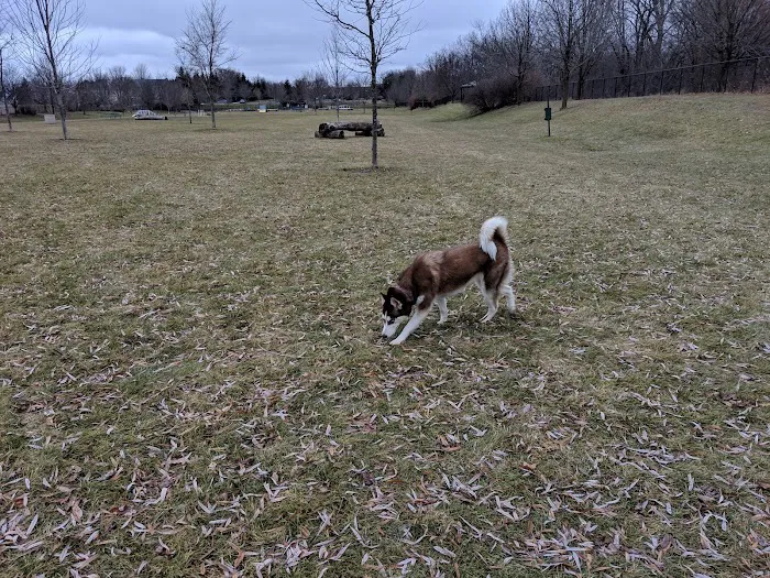 Freedom Run Dog Park 1