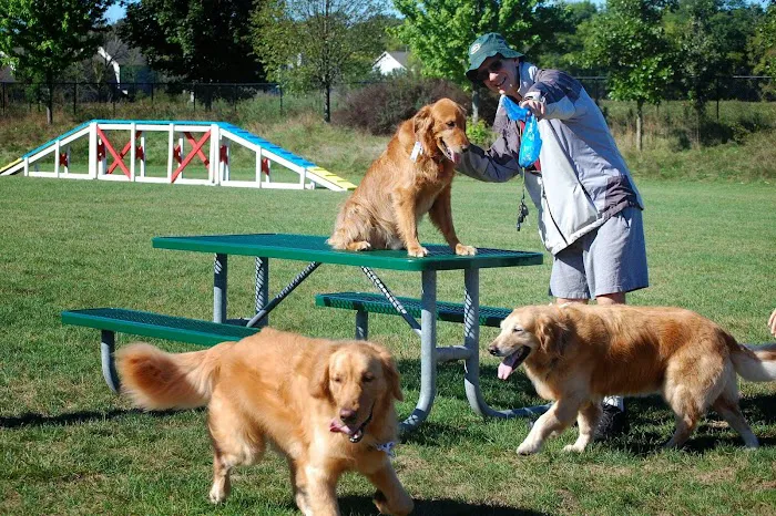 Freedom Run Dog Park 3