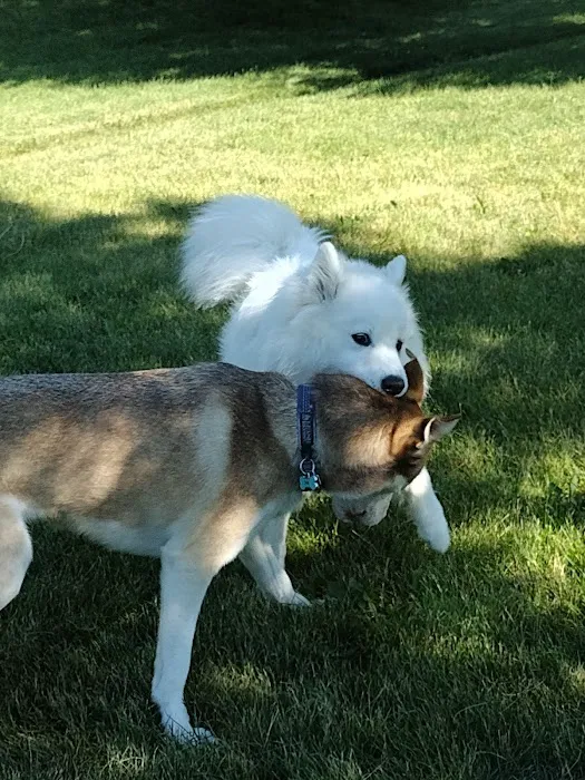 Freedom Run Dog Park 6
