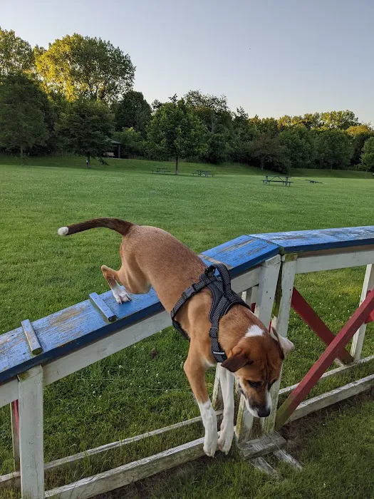Freedom Run Dog Park 7