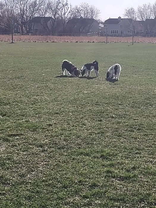 Dog Park at Hoffman Park 4