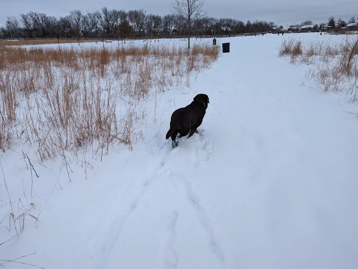 Dog Park at Hoffman Park 3
