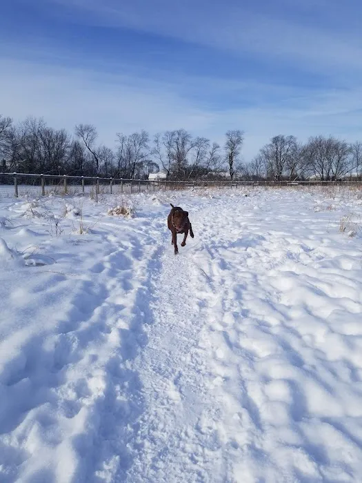 Dog Park at Hoffman Park 10