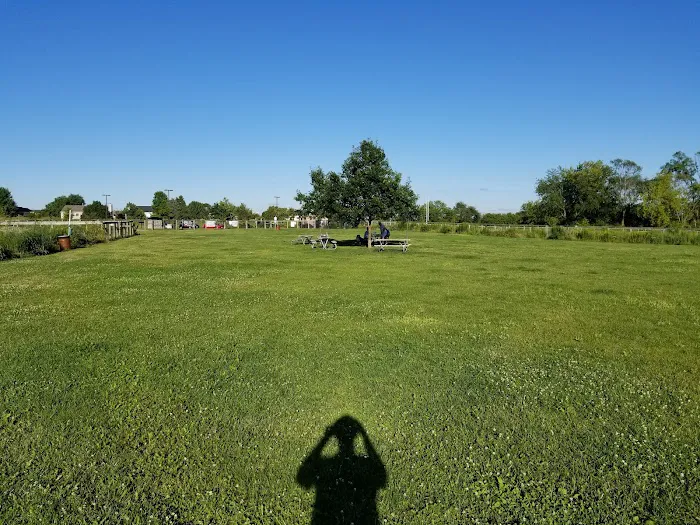 Dog Park at Hoffman Park 7