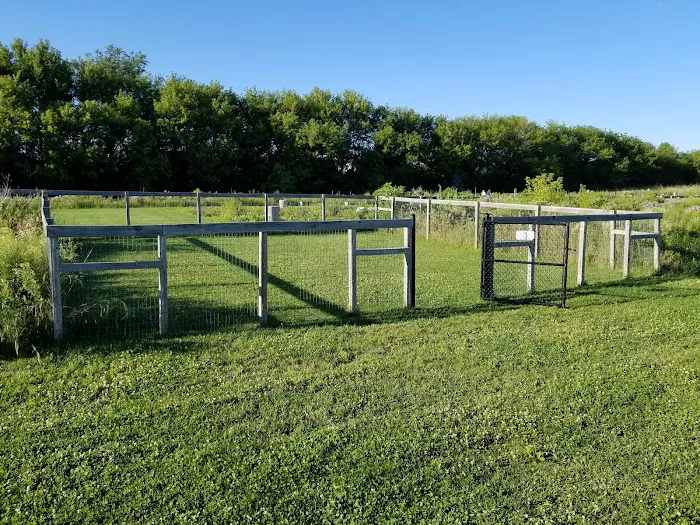 Dog Park at Hoffman Park 8