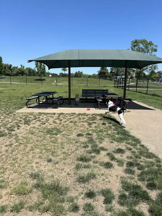 Riley's Run Dog Park 5