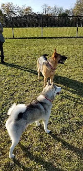 Riley's Run Dog Park 3