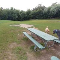 Schweitzer Woods Forest Preserve ico