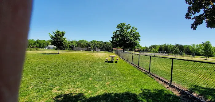 Dog Park 8