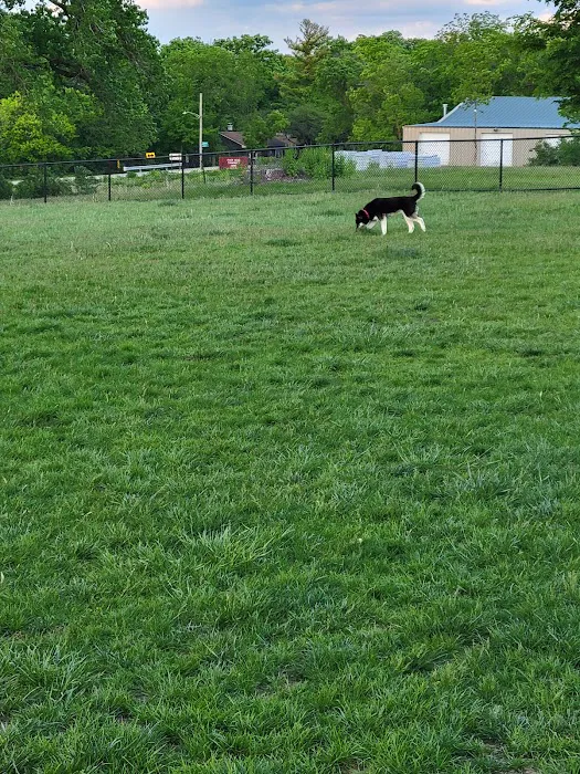 Dog Park 4