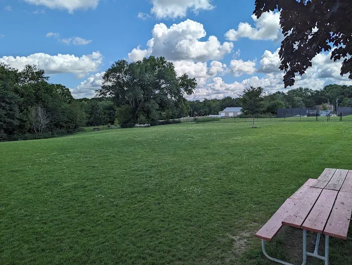 Dog Park 5