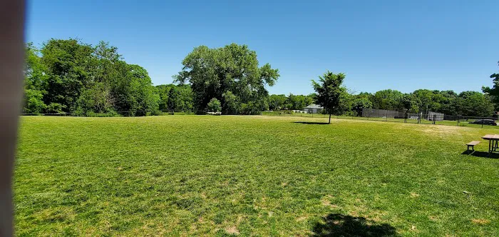 Dog Park 6