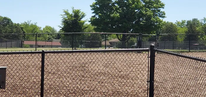 Dog Park 10