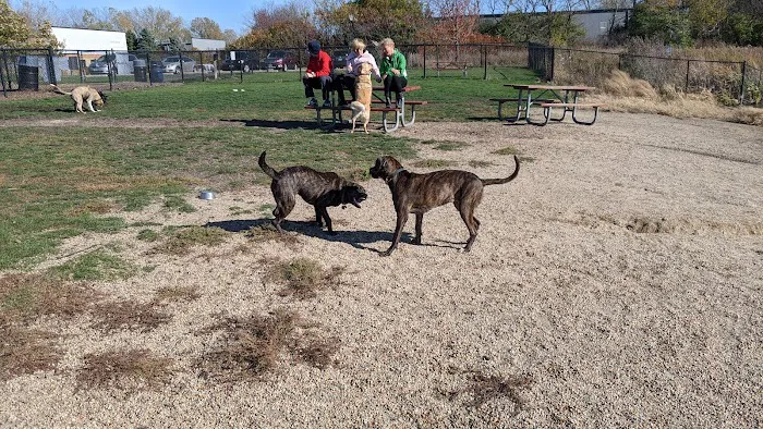 East Side Sports Complex Dog Park 7