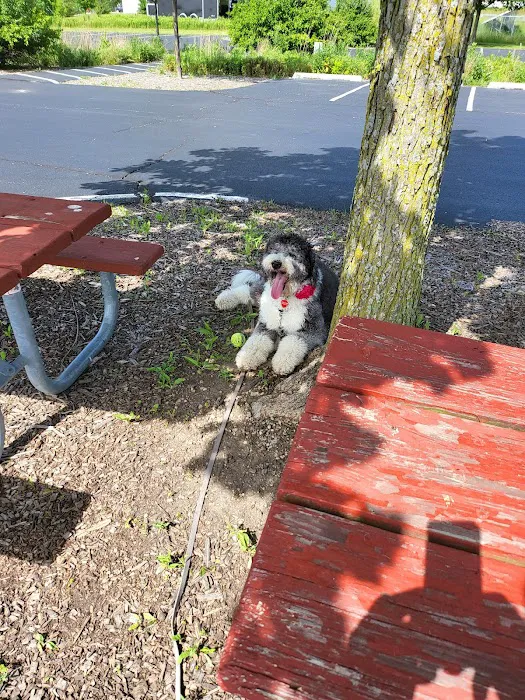East Side Sports Complex Dog Park 4