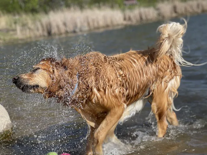 East Side Sports Complex Dog Park 10