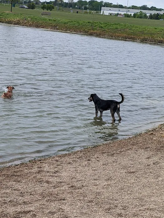 East Side Sports Complex Dog Park 5