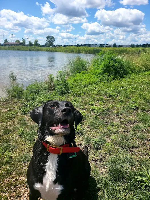 East Side Sports Complex Dog Park 9