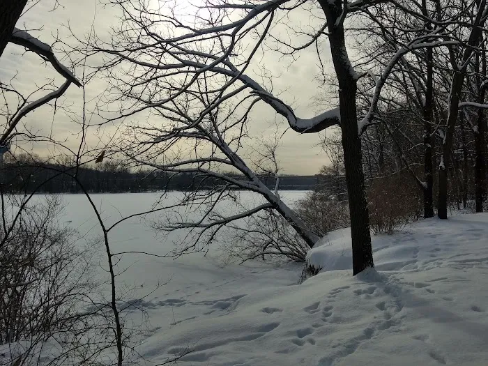 Fox River Bluff West Forest Preserve 6