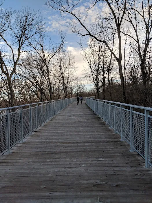 Fox River Bluff West Forest Preserve 9