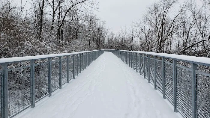 Fox River Bluff West Forest Preserve 7