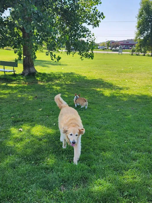 McBark Dog Park 7