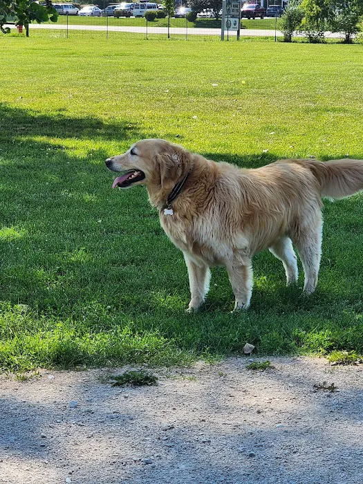 McBark Dog Park 9