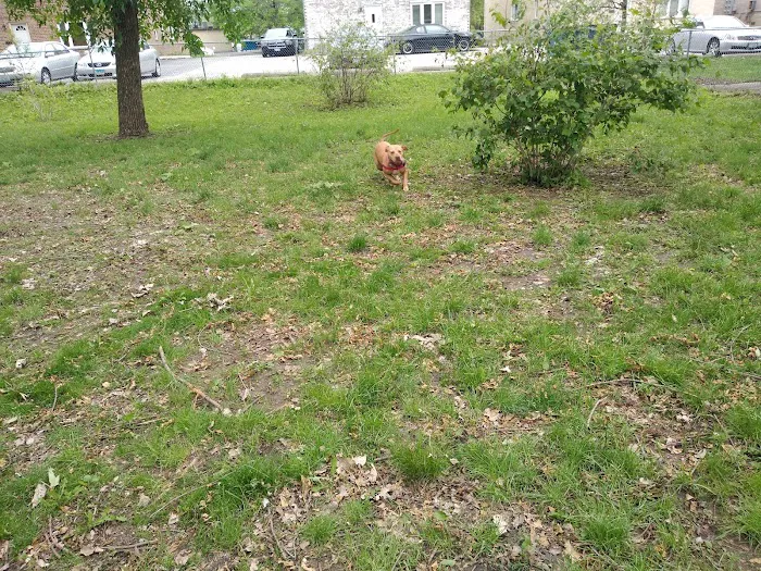 Bailey's Crossing Dog Park 9