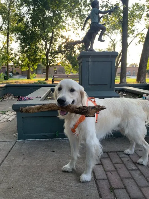 Bailey's Crossing Dog Park 3