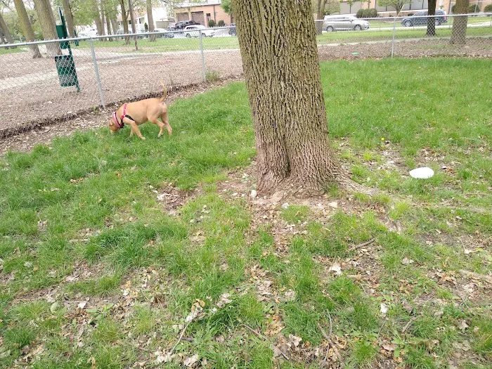 Bailey's Crossing Dog Park 10
