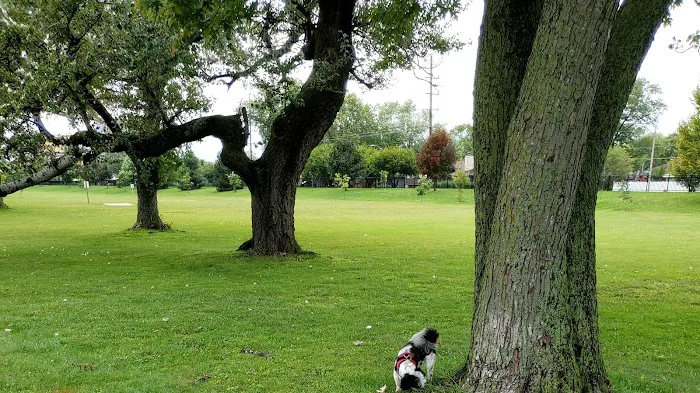 50 Acre Park Dog Park 2