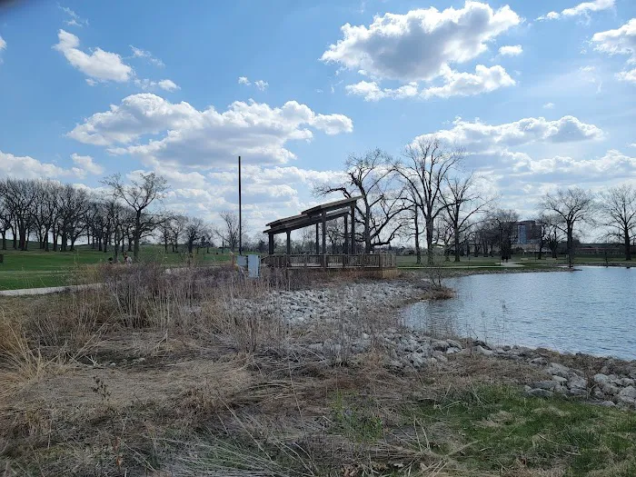 50 Acre Park Dog Park 8