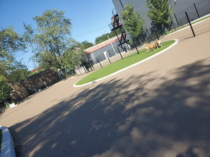 Bronzeville Dog Park: Park# 590 4