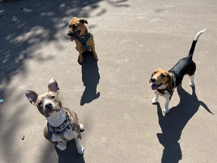 Bronzeville Dog Park: Park# 590 6