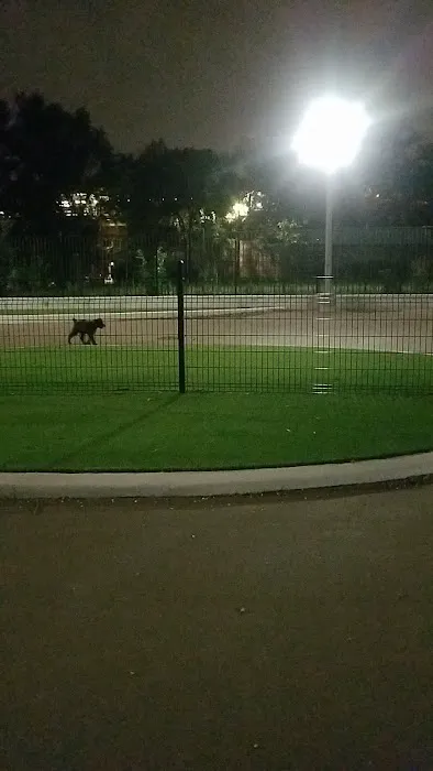Bronzeville Dog Park: Park# 590 3