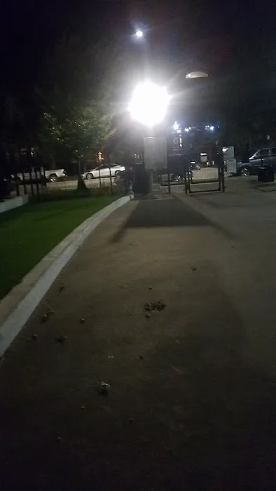 Bronzeville Dog Park: Park# 590 2