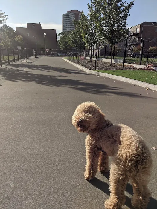 Bronzeville Dog Park #592 10