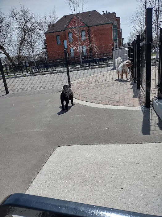 Bronzeville Dog Park #592 5