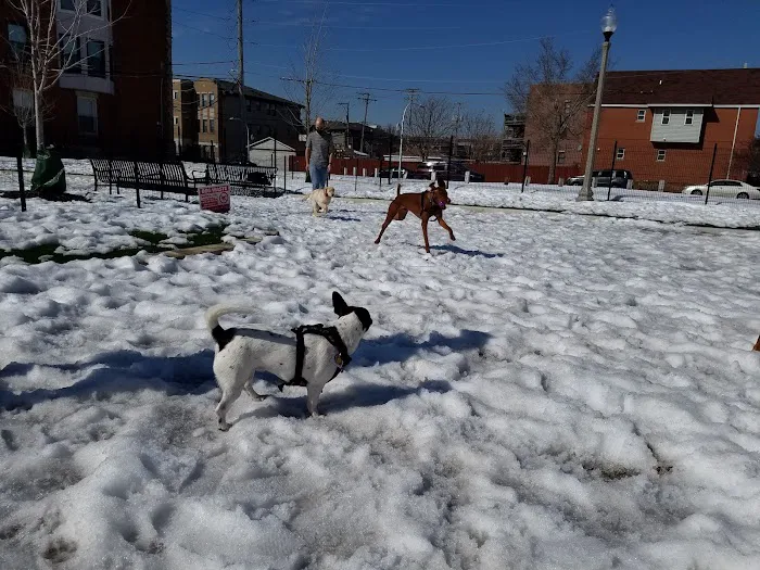 Bronzeville Dog Park #591 6