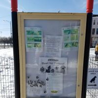 Bronzeville Dog Park #591 ico