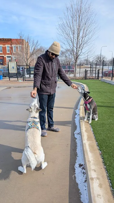 Chicago Park 591 - Dog Friendly Area 1