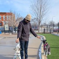 Chicago Park 591 - Dog Friendly Area ico