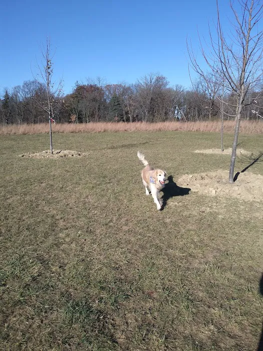 Oldfield Oaks Dog Park 5
