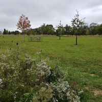 Oldfield Oaks Dog Park ico